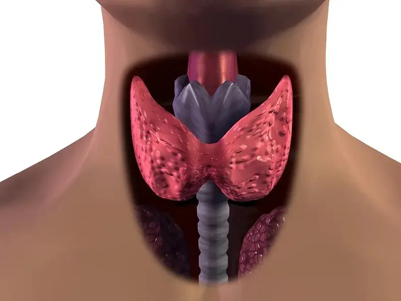 Tireoide lenta sintomas diagnostico e como tratar corretamente